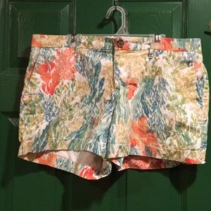 Ladies size 8 shorts